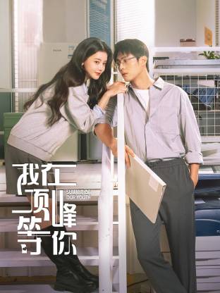 我在顶峰等你(全集)