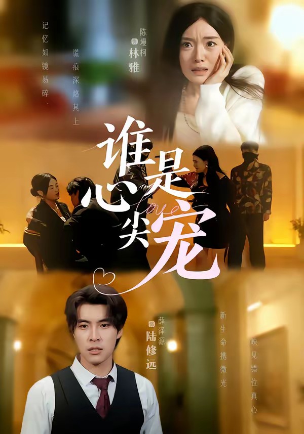 谁是心尖宠.