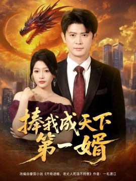 捧我成天下第一婿(全集)